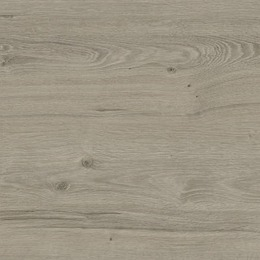 large-Светлый дуб