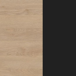 large-Дуб гладстоун светлый + антрацит премиум