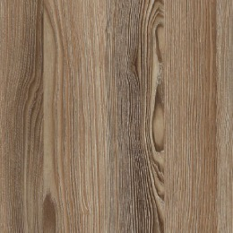 large-Дуб сафари