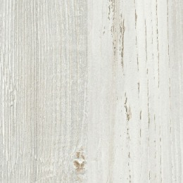 large-Сосна винтер