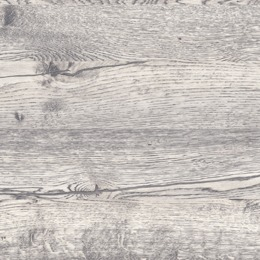 large-Дуб нордик