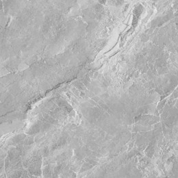 large-Дуб каменный