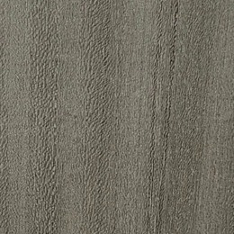 large-Швейцарский вяз