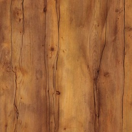 large-Таксония